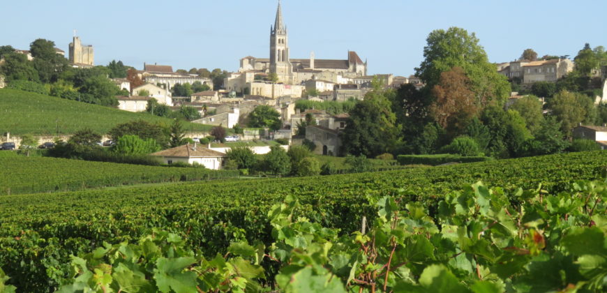 Propriété viticole Saint Emilion