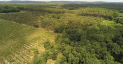 Propriété forestière Lot et Garonne