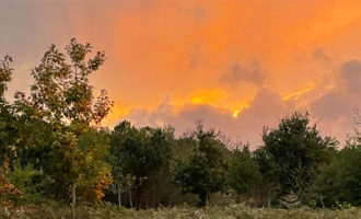 Propriété forestière Lot et Garonne