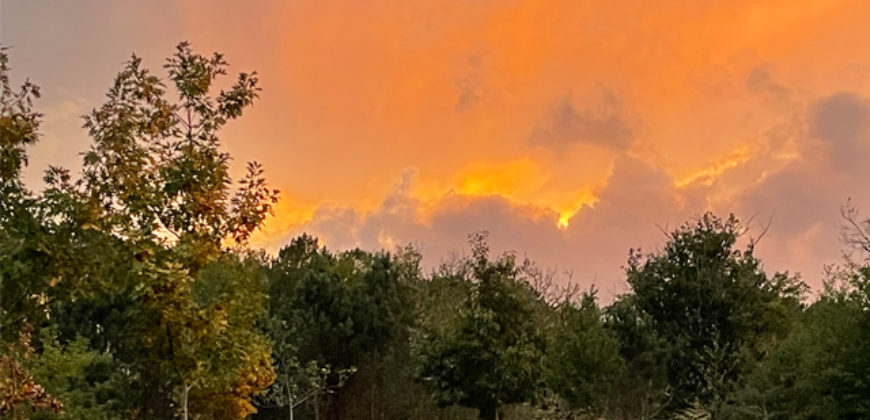 Propriété forestière Lot et Garonne