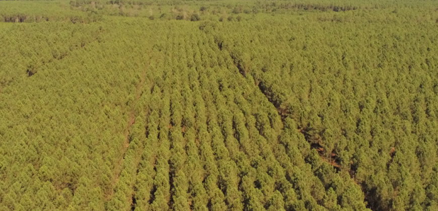 Propriété Forestière LUBBON