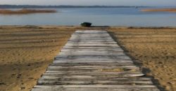 Propriété forestière Gironde