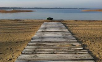 Propriété forestière Gironde