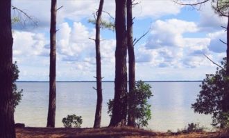 Propriété forestière Gironde