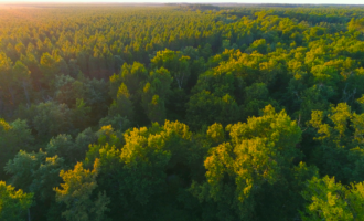 Propriété Forestière LANDIRAS