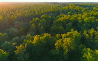 Propriété Forestière LANDIRAS