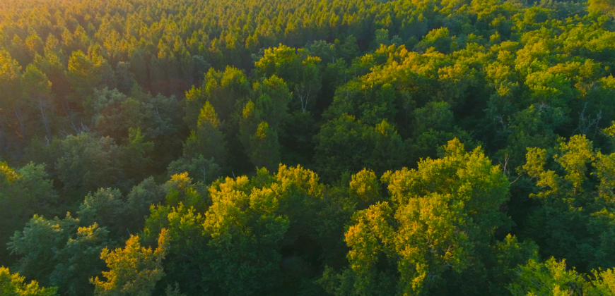 Propriété Forestière avec Etangs et Bâtiments à rénover