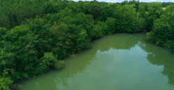 Propriété Forestière avec Etangs et Bâtiments à rénover