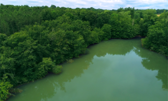 Propriété Forestière avec Etangs et Bâtiments à rénover