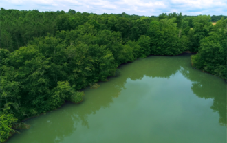 Propriété Forestière avec Etangs et Bâtiments à rénover