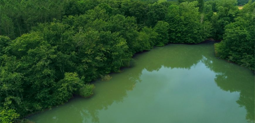 Propriété Forestière avec Etangs et Bâtiments à rénover