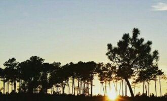 Propriété Forestière SAINT MAGNE