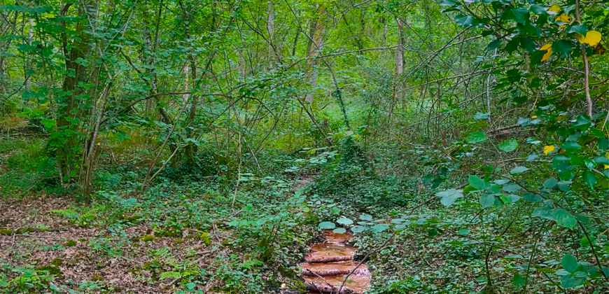 Propriété Forestière CALLEN