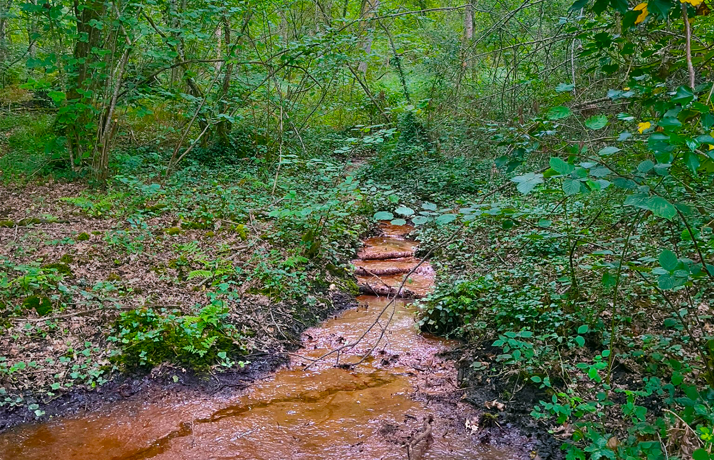 Propriété Forestière CALLEN