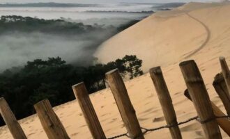 Propriété Forestière d’un seul tenant en Nature de Pins Maritimes de 60 Ans.