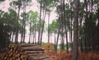 Propriété Forestière d’un seul bloc