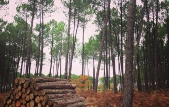 Propriété Forestière d’un seul bloc