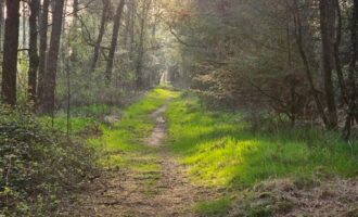 Propriété Forestière d’un seul tenant.