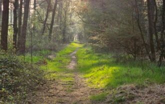 Propriété Forestière d’un seul tenant.