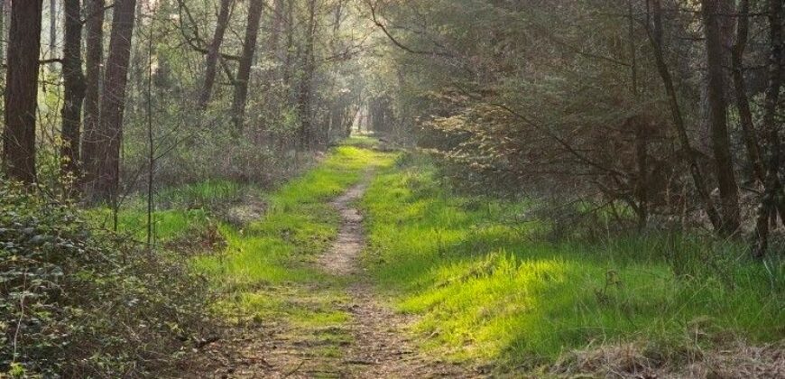 Propriété Forestière d’un seul tenant.