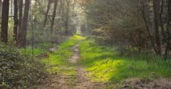 Propriété Forestière d’un seul tenant.