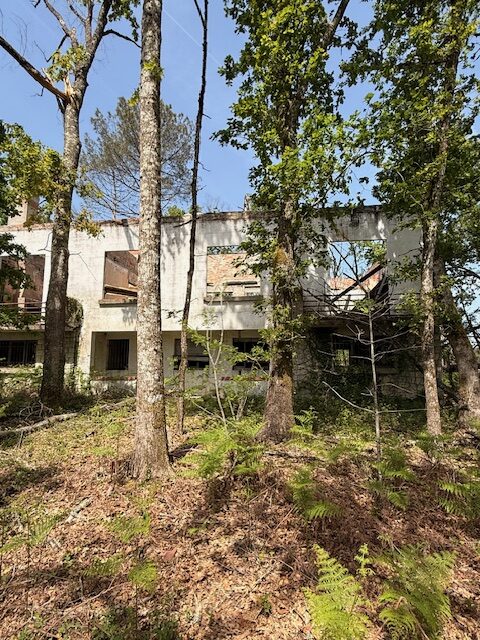 Propriété Forestière d’un seul tenant avec Ruine